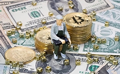 乐乐茶将关闭所有直营店，美国加盟费80万美元
